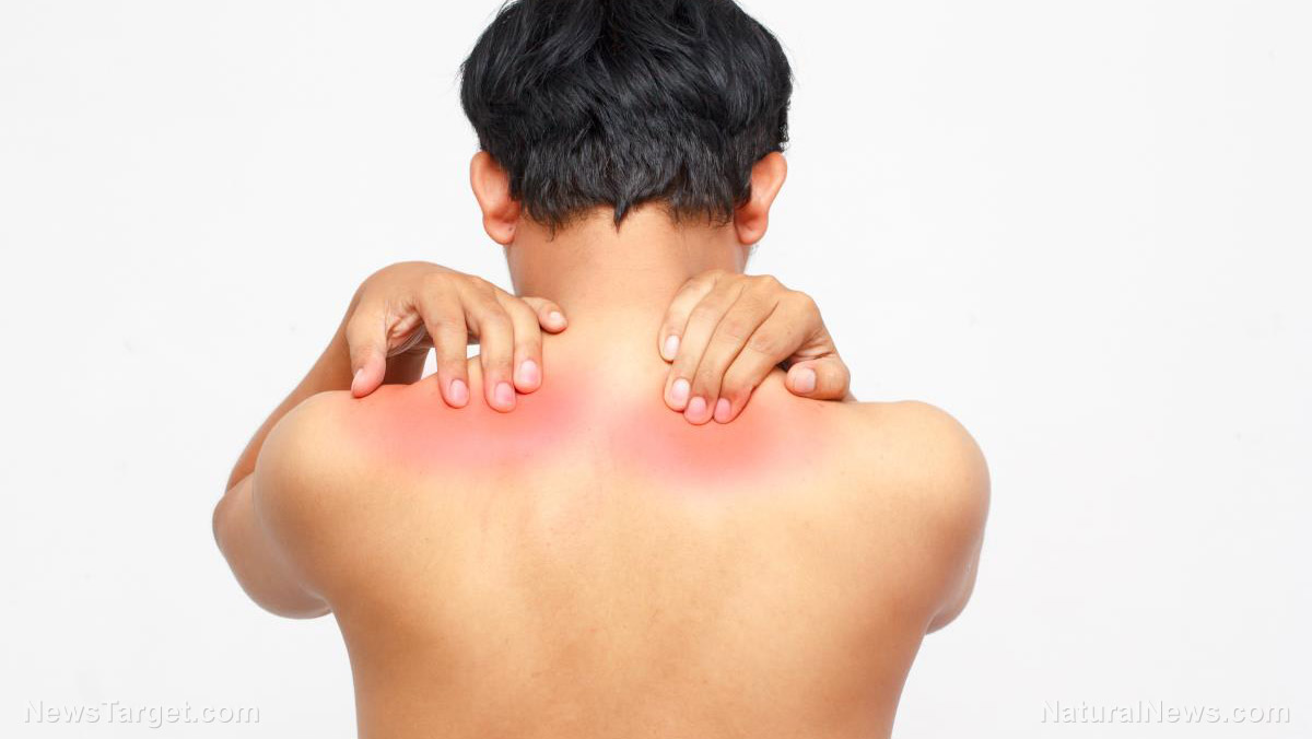 Muscle Pain In Shoulder Blade And Neck